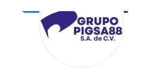 Grupo PIGSA 88