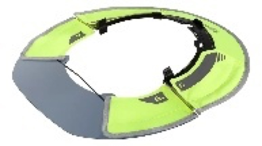 Bolt visor